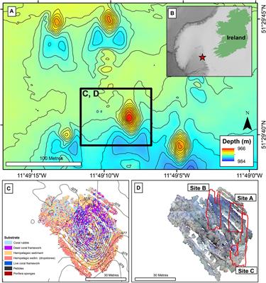 Fine-Scale Heterogeneity of a Cold-Water Coral Reef and Its Influence on the Distribution of Associated Taxa